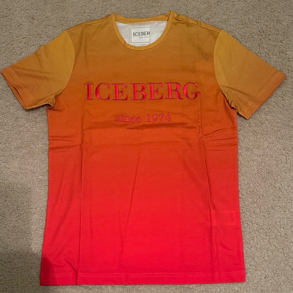 Iceberg Mens Tee - Picture 2 of 4